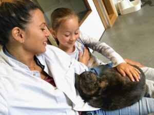 animal-hospital-cuddle-cat