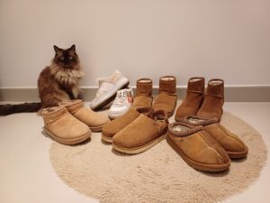 blog-list-journey-fashion-uggs