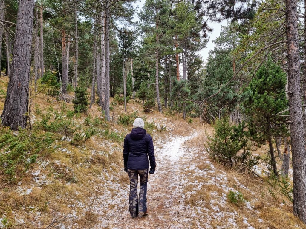 la-molina-hiking-forest