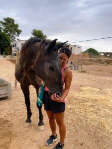 rescue-horse-1st-meeting