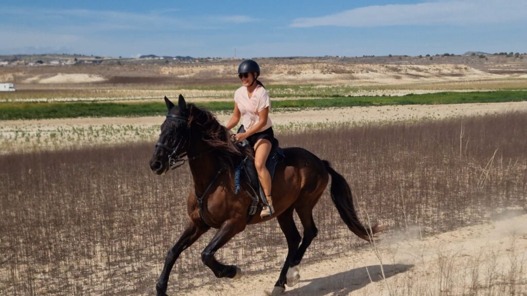 rescue-horse-canter