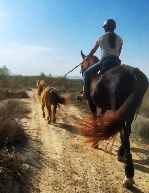 Alfi and troy walking